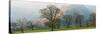 Autumn Trees with Mountain in the Background, Langdale, Lake District National Park, Cumbria-null-Stretched Canvas