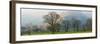 Autumn Trees with Mountain in the Background, Langdale, Lake District National Park, Cumbria-null-Framed Photographic Print