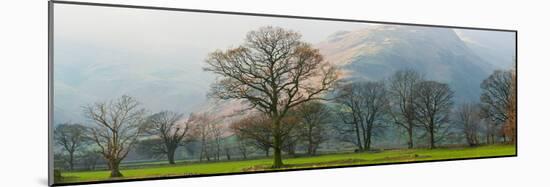 Autumn Trees with Mountain in the Background, Langdale, Lake District National Park, Cumbria-null-Mounted Photographic Print