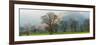 Autumn Trees with Mountain in the Background, Langdale, Lake District National Park, Cumbria-null-Framed Photographic Print