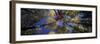 Autumn Trees-Peter Adams-Framed Photographic Print