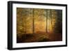 Autumn Trees-Norbert Maier-Framed Giclee Print