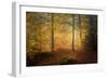 Autumn Trees-Norbert Maier-Framed Giclee Print