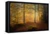 Autumn Trees-Norbert Maier-Framed Stretched Canvas