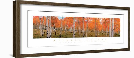 Autumn Trees-unknown Cook-Framed Photo