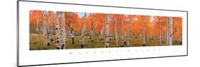 Autumn Trees-unknown Cook-Mounted Photo