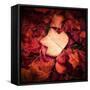 Autumn Trend-Philippe Sainte-Laudy-Framed Stretched Canvas