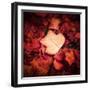 Autumn Trend-Philippe Sainte-Laudy-Framed Photographic Print