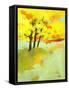 Autumn Trio-Paul Bailey-Framed Stretched Canvas