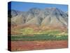 Autumn Tundra Landscape, Broad Pass, Denali National Park, Alaska, USA-Anthony Waltham-Stretched Canvas