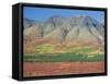 Autumn Tundra Landscape, Broad Pass, Denali National Park, Alaska, USA-Anthony Waltham-Framed Stretched Canvas