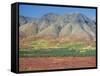 Autumn Tundra Landscape, Broad Pass, Denali National Park, Alaska, USA-Anthony Waltham-Framed Stretched Canvas