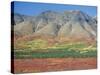 Autumn Tundra Landscape, Broad Pass, Denali National Park, Alaska, USA-Anthony Waltham-Stretched Canvas