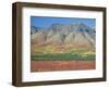 Autumn Tundra Landscape, Broad Pass, Denali National Park, Alaska, USA-Anthony Waltham-Framed Photographic Print