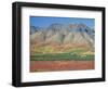 Autumn Tundra Landscape, Broad Pass, Denali National Park, Alaska, USA-Anthony Waltham-Framed Photographic Print