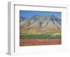 Autumn Tundra Landscape, Broad Pass, Denali National Park, Alaska, USA-Anthony Waltham-Framed Photographic Print