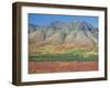 Autumn Tundra Landscape, Broad Pass, Denali National Park, Alaska, USA-Anthony Waltham-Framed Photographic Print