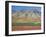 Autumn Tundra Landscape, Broad Pass, Denali National Park, Alaska, USA-Anthony Waltham-Framed Photographic Print