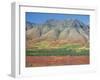 Autumn Tundra Landscape, Broad Pass, Denali National Park, Alaska, USA-Anthony Waltham-Framed Photographic Print