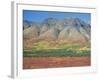 Autumn Tundra Landscape, Broad Pass, Denali National Park, Alaska, USA-Anthony Waltham-Framed Photographic Print