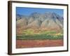 Autumn Tundra Landscape, Broad Pass, Denali National Park, Alaska, USA-Anthony Waltham-Framed Photographic Print