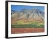 Autumn Tundra Landscape, Broad Pass, Denali National Park, Alaska, USA-Anthony Waltham-Framed Photographic Print