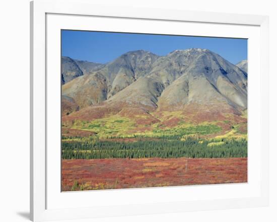 Autumn Tundra Landscape, Broad Pass, Denali National Park, Alaska, USA-Anthony Waltham-Framed Photographic Print