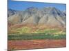 Autumn Tundra Landscape, Broad Pass, Denali National Park, Alaska, USA-Anthony Waltham-Mounted Photographic Print