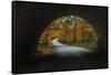 Autumn Tunnel Vision, Acadia National Park, Maine-Vincent James-Framed Stretched Canvas