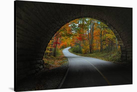 Autumn Tunnel Vision, Acadia National Park, Maine-Vincent James-Stretched Canvas