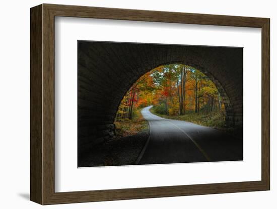 Autumn Tunnel Vision, Acadia National Park, Maine-Vincent James-Framed Photographic Print