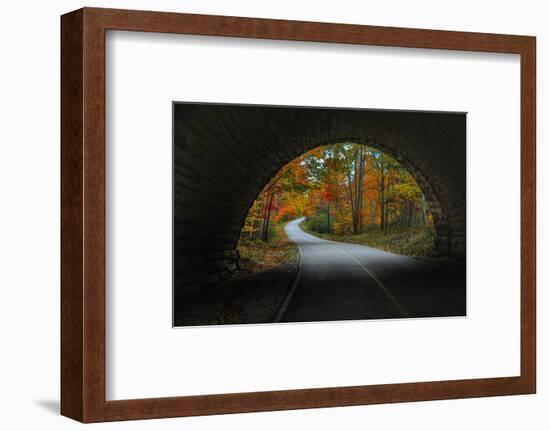 Autumn Tunnel Vision, Acadia National Park, Maine-Vincent James-Framed Photographic Print