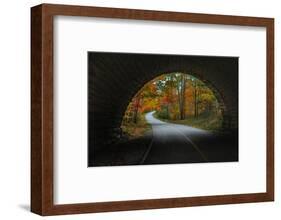 Autumn Tunnel Vision, Acadia National Park, Maine-Vincent James-Framed Photographic Print