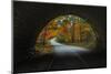 Autumn Tunnel Vision, Acadia National Park, Maine-Vincent James-Mounted Photographic Print