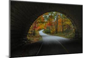 Autumn Tunnel Vision, Acadia National Park, Maine-Vincent James-Mounted Photographic Print