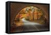 Autumn Tunnel Vision-Vincent James-Framed Stretched Canvas