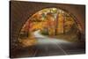 Autumn Tunnel Vision-Vincent James-Stretched Canvas