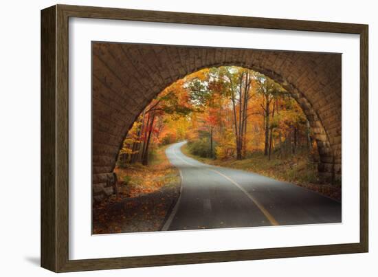 Autumn Tunnel Vision-Vincent James-Framed Photographic Print