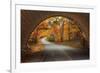 Autumn Tunnel Vision-Vincent James-Framed Photographic Print