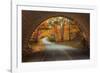 Autumn Tunnel Vision-Vincent James-Framed Photographic Print