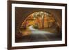 Autumn Tunnel Vision-Vincent James-Framed Photographic Print