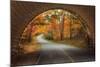 Autumn Tunnel Vision-Vincent James-Mounted Photographic Print