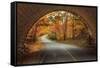 Autumn Tunnel Vision-Vincent James-Framed Stretched Canvas