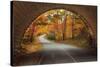 Autumn Tunnel Vision-Vincent James-Stretched Canvas