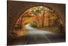 Autumn Tunnel Vision-Vincent James-Stretched Canvas