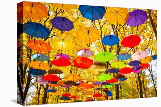 Autumn Umbrellas in the Sky-Oleksii Pyltsyn-Stretched Canvas