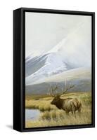 Autumn Uprights, Elk-Michael Budden-Framed Stretched Canvas