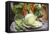 Autumn Vegetable Still Life with Brassicas, Potatoes and Carrots-Eising Studio - Food Photo and Video-Framed Stretched Canvas