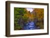 Autumn View in Bishop Creek Canyon, Yosemite California-Vincent James-Framed Photographic Print