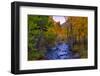 Autumn View in Bishop Creek Canyon, Yosemite California-Vincent James-Framed Photographic Print